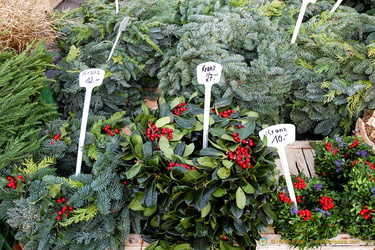 Christmas wreaths and trees